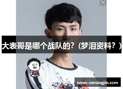 大表哥是哪个战队的？(梦泪资料？)