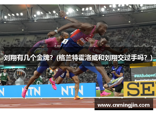 刘翔有几个金牌？(格兰特霍洛威和刘翔交过手吗？)
