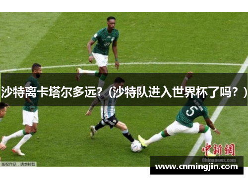 沙特离卡塔尔多远？(沙特队进入世界杯了吗？)