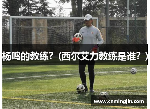杨鸣的教练？(西尔艾力教练是谁？)