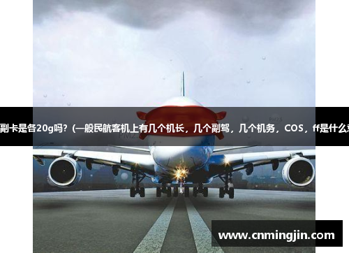 主卡和副卡是各20g吗？(一般民航客机上有几个机长，几个副驾，几个机务，COS，ff是什么意思？)