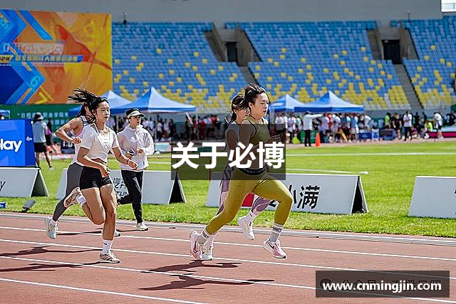 关于必博